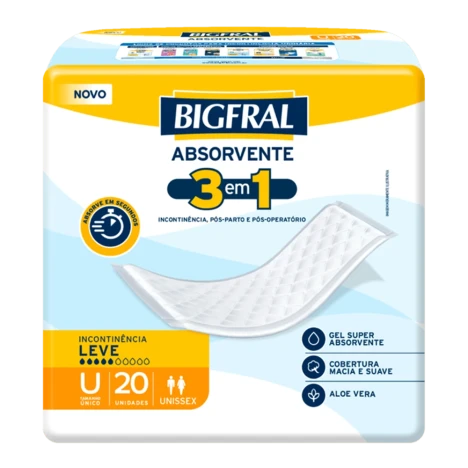 Absorvente Bigfral Regular Plus C/20