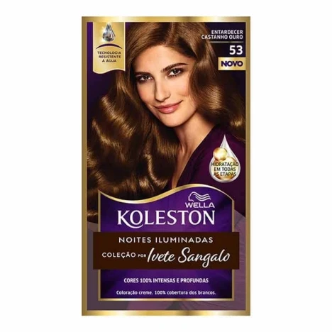 TINT.KOLESTON KIT 53 CASTANHO OURO